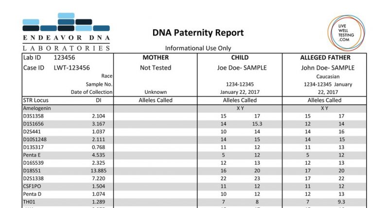 Endeavor Paternity DNA report