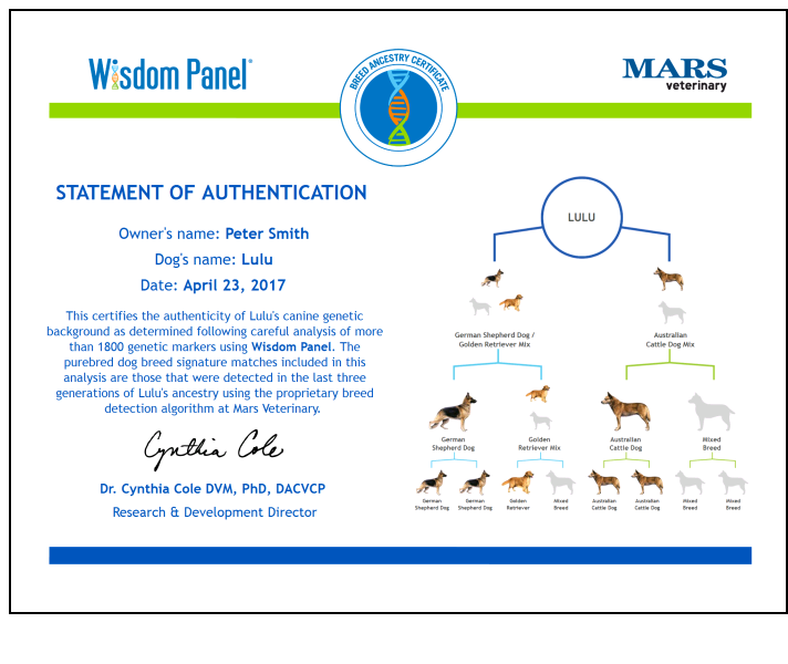 Wisdom Panel 4 0 Canine Dna Test Dna Test Review