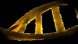 Full Genomes Corporation – GenomeGuide